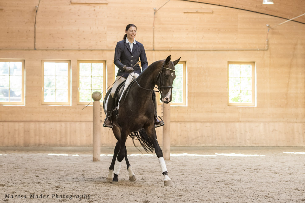anja-beran-dressur-seminar-2020