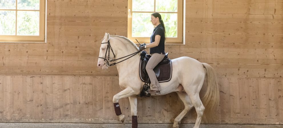 The International Workshop with Anja Beran –  intensive insights into Clasical Dressage