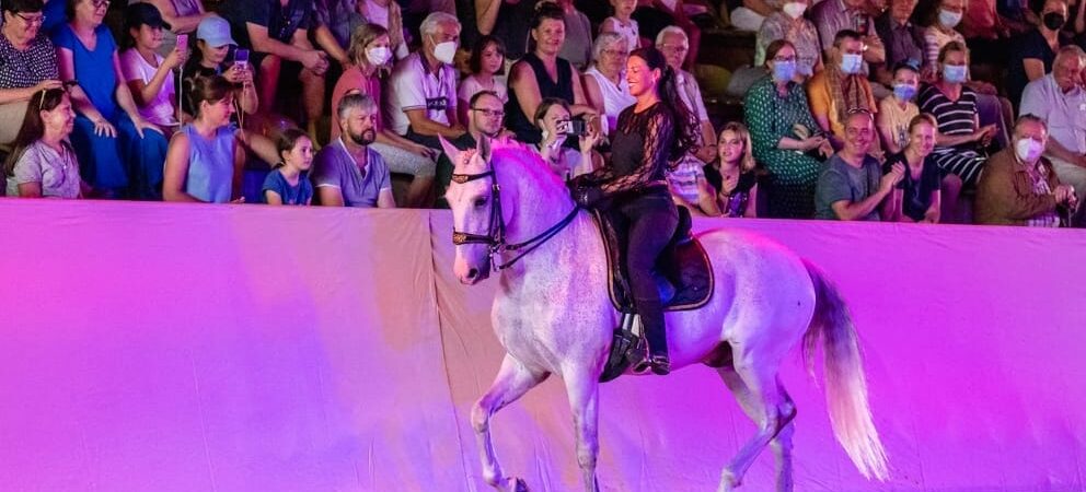 Anja Beran und Bue bei den Marbach Classics