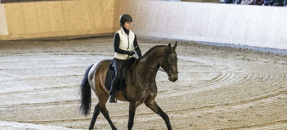 Seminar at the Marbach State Stud with Anja Beran