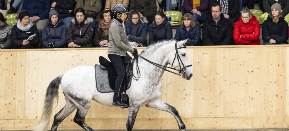 Marbach 2026 – over 900 visitors and enthusiasm all around