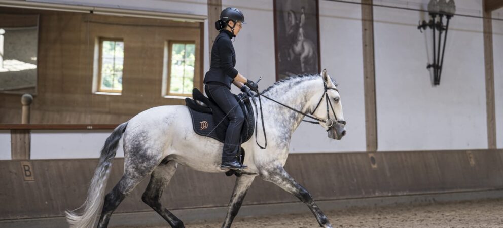 Noble horses, fine riding skills – a look back at our June morning work in pictures