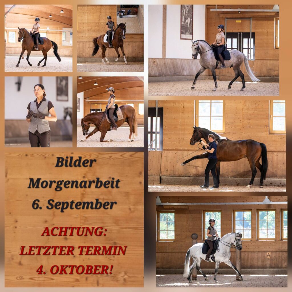 beran-morgenarbeit-0926-1