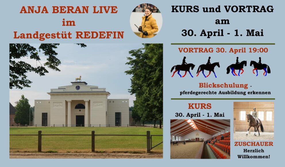 beran-redefin-flyer-2022