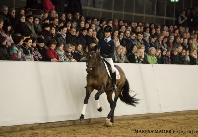 beran-schwaiganger-bailando