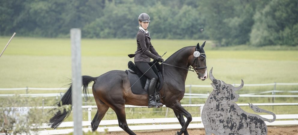 Vera Munderloh erneut erfolgreich in der Working Equitation